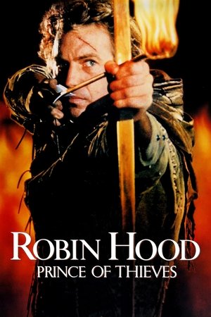 Robin Hood: Prince of Thieves - VJ Mark